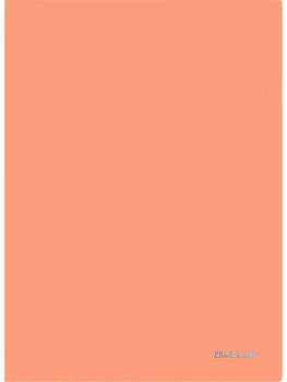 Папка-уголок A4 0,18мм, плотный пластик PROF-PRESS, персиковая