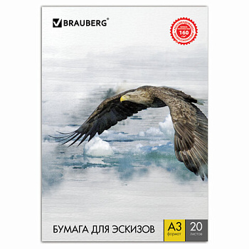 Папка для рисования А3 20л BRAUBERG Орел