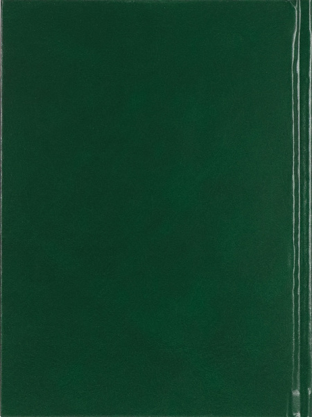 6_Ежедневник недатированный А5 PROF-PRESS, бумвинил, зеленый, 128л