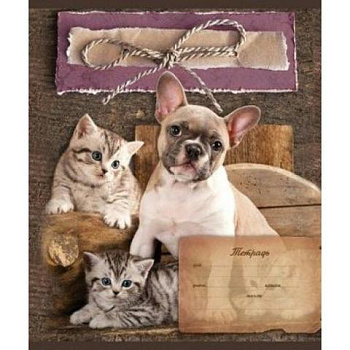 Тетрадь 24л линия Кот и пес