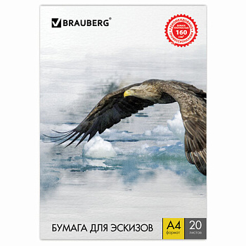 Папка для рисования А4 20л BRAUBERG Орел