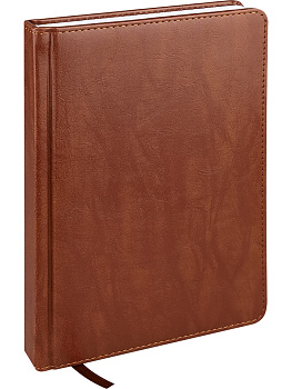 Ежедневник недатированный А5 PROF-PRESS Everyday Chronicles, под кожу, коричневый, 160л