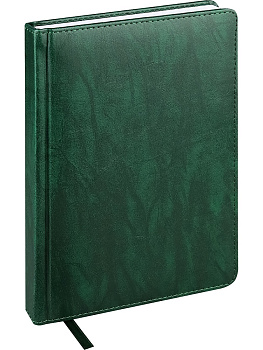 Ежедневник недатированный А5 PROF-PRESS Everyday Chronicles, под кожу, зеленый, 160л