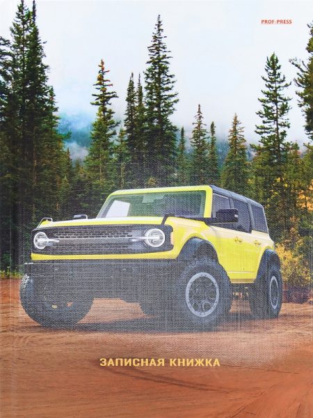 Блокнот А5 80л без линовки, твердый переплет PROF-PRESS Машина в лесу, ламинированная обложка