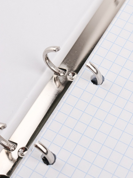 4_Тетрадь на кольцах А5, 80л, обложка картон, клетка PROF-PRESS Крыши домов