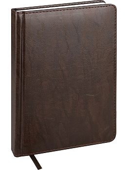 Ежедневник недатированный А5 PROF-PRESS Everyday Chronicles, под кожу, темно-коричневый, 160л