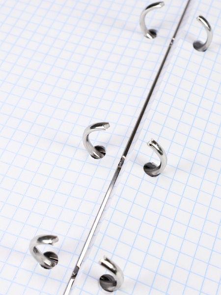 6_Тетрадь на кольцах А5, 80л, обложка картон, клетка PROF-PRESS Хамелеоны и авокадо