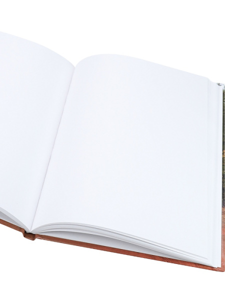 3_Блокнот А5 80л без линовки, твердый переплет PROF-PRESS Машина в лесу, ламинированная обложка