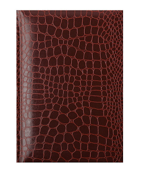 Ежедневник 2026 А5 ATTOMEX Arkona, бумвинил, коричневый, 168л