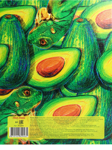 7_Тетрадь на кольцах А5, 80л, обложка картон, клетка PROF-PRESS Хамелеоны и авокадо