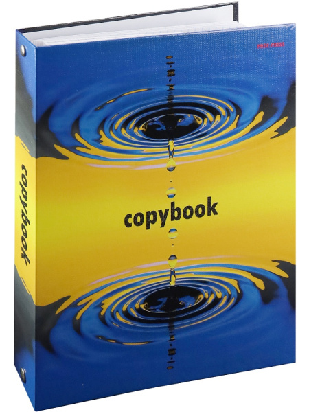 2_Тетрадь на кольцах А5, 80л, обложка картон, клетка PROF-PRESS Круги на воде