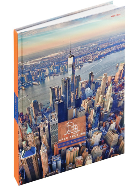 2_Блокнот А4 (БОЛЬШОЙ ФОРМАТ) 120л клетка, твердый переплет PROF-PRESS Вид на небоскребы