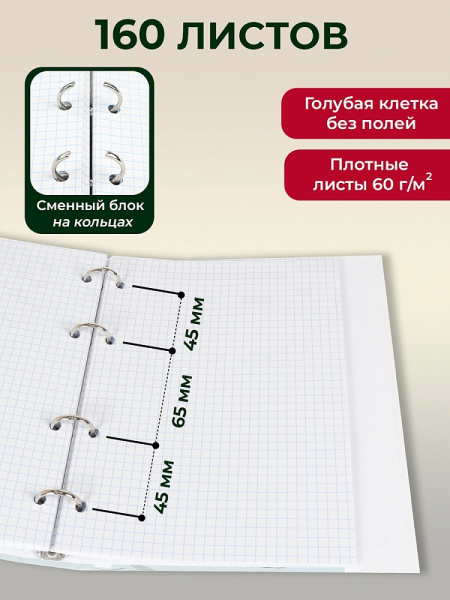 4_Тетрадь на кольцах А5+, 100л, обложка картон, клетка PROF-PRESS Оживленная площадь