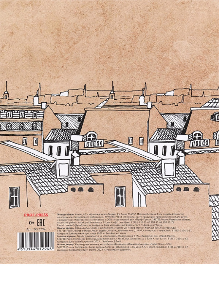 5_Тетрадь на кольцах А5, 80л, обложка картон, клетка PROF-PRESS Крыши домов