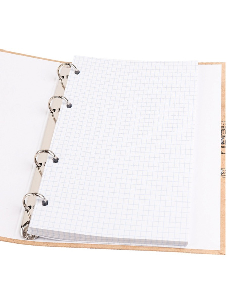 2_Тетрадь на кольцах А5, 80л, обложка картон, клетка PROF-PRESS Крыши домов