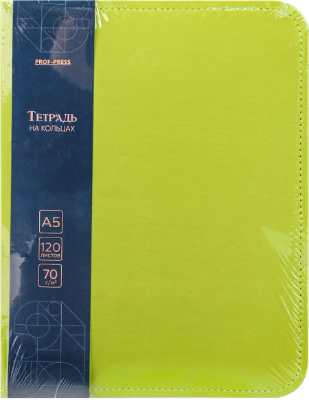 7_Тетрадь на кольцах А5, 120л, под кожу, клетка PROF-PRESS Green