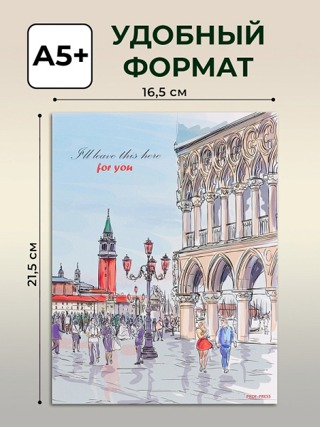 5_Тетрадь на кольцах А5+, 100л, обложка картон, клетка PROF-PRESS Оживленная площадь
