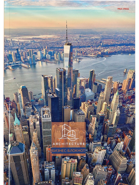 Блокнот А4 (БОЛЬШОЙ ФОРМАТ) 120л клетка, твердый переплет PROF-PRESS Вид на небоскребы