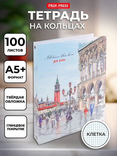 6_Тетрадь на кольцах А5+, 100л, обложка картон, клетка PROF-PRESS Оживленная площадь