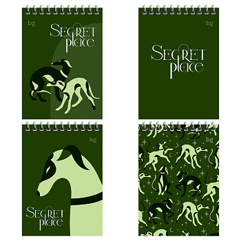 Блокнот А6 60л клетка, гребень BG Secret place, ассорти