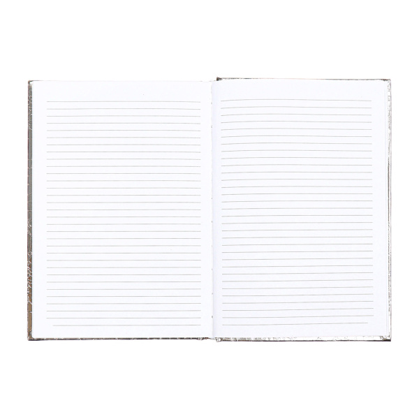 11_Ежедневник недатированный А5 ATTOMEX Arkona, бумвинил, серебристый, 136л