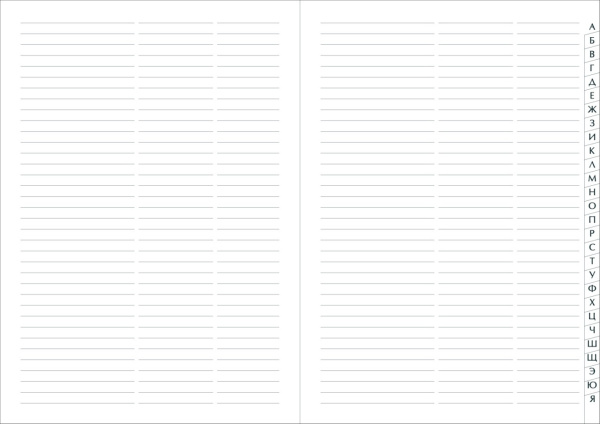 2_Телефонная книга А5 deVENTE Bravo, под кожу 64л