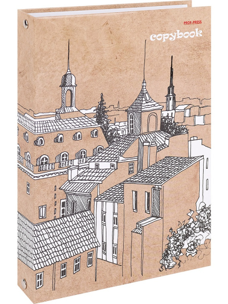 3_Тетрадь на кольцах А5, 80л, обложка картон, клетка PROF-PRESS Крыши домов