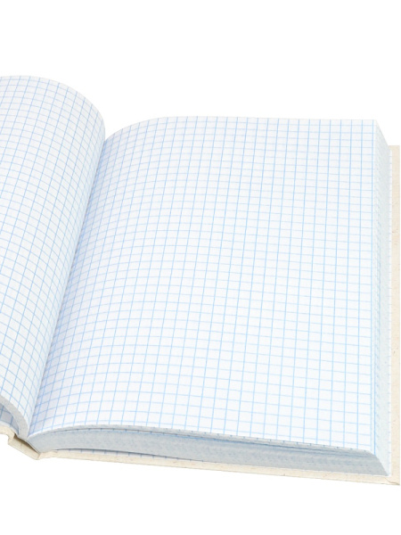 4_Блокнот А5 160л клетка, твердый переплет PROF-PRESS Путешествие на шаре, ламинированная обложка